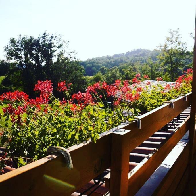 Bed and Breakfast Ca' Del Cuco Barzana Exterior foto
